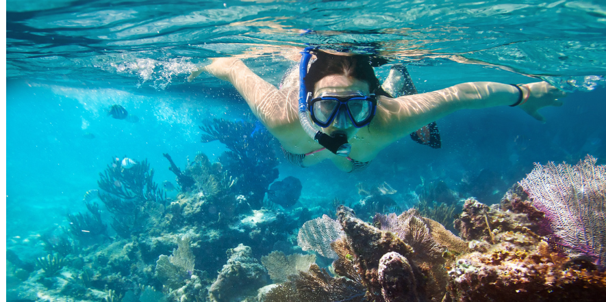 lakshadweep honeymoon special
